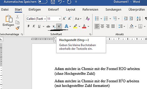 Hochgestellte in Word und Excel erzeugen: Schritt-für-Schritt ...