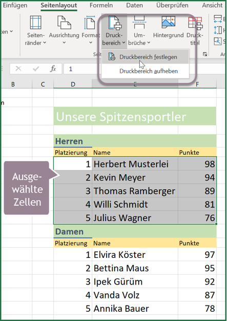 Druckbereich